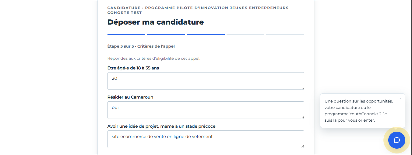 Formulaire de candidature, étape 3 : critères de l'appel